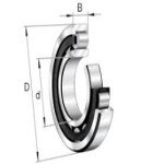 nu205e-gear-box-bearing